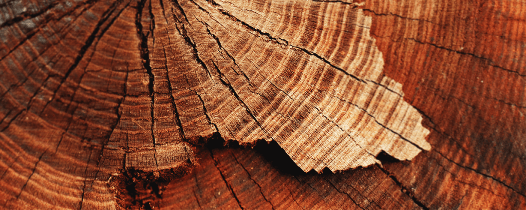 Químicos aromáticos